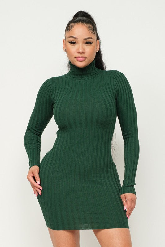 Turtle Neck Ribbed Mini Dress