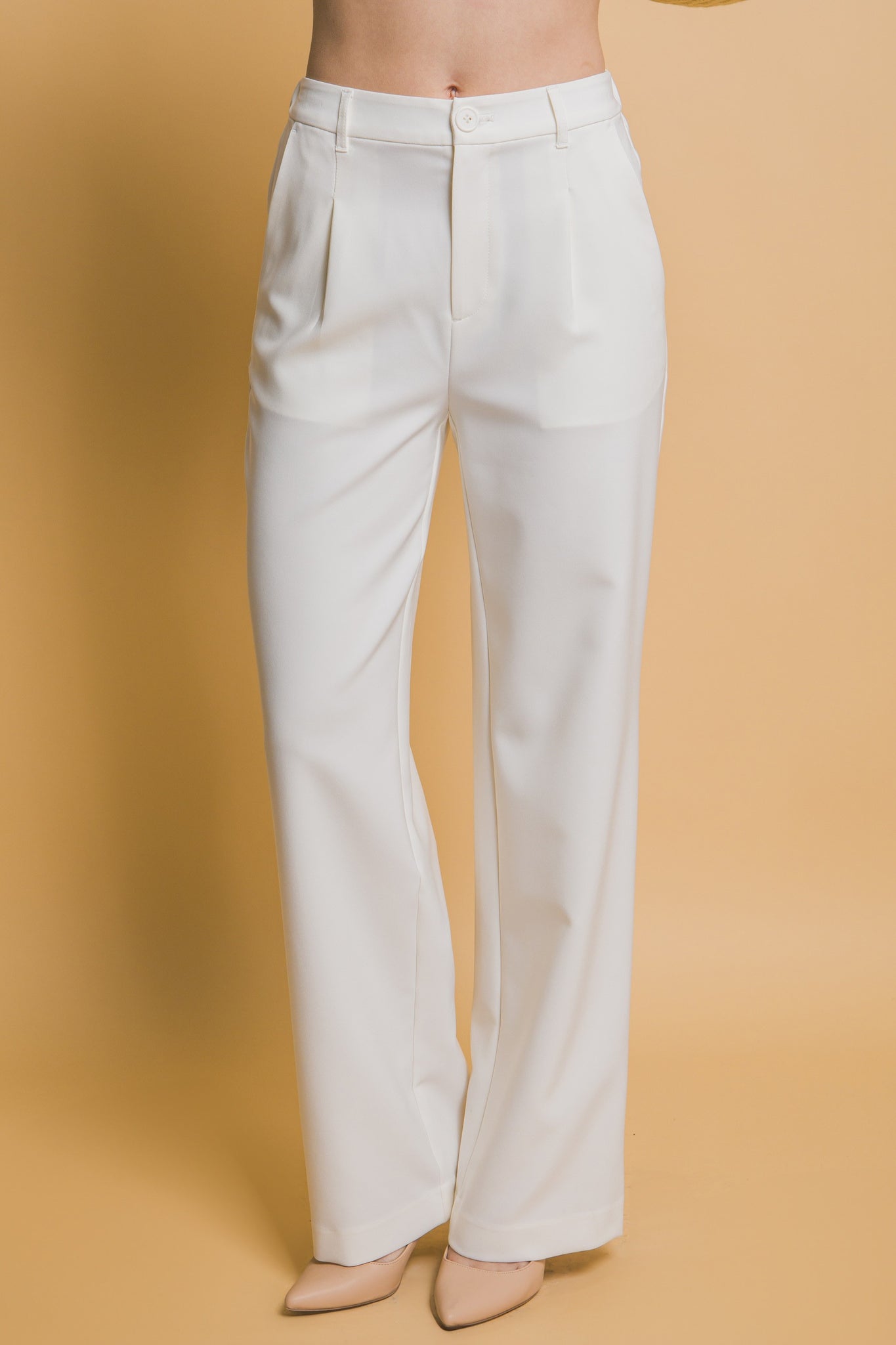 High Waisted Trouser Pant