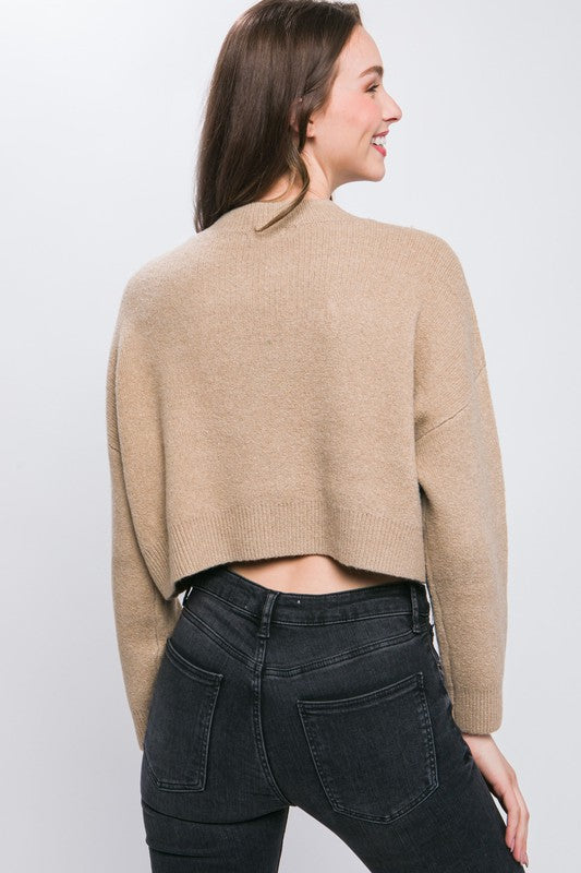 Cropped Sweater Top