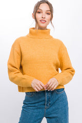 Turtleneck Relaxed Fit Sweater