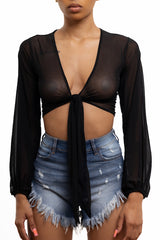 Mesh Long Sleeve Tie Front Crop Top