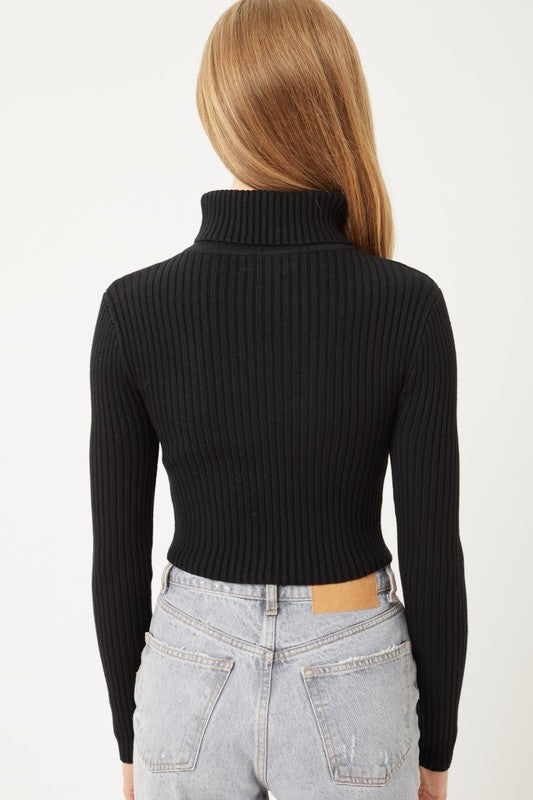 Cropped Turtleneck Sweater Top