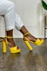 Thick Platform Chunky Ankle Heels